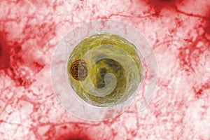 Adipocyte Human Fat Cells 3D Illustration