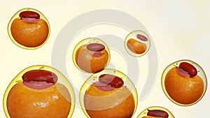 Isolated white adipose cells in the white background 3d rendering