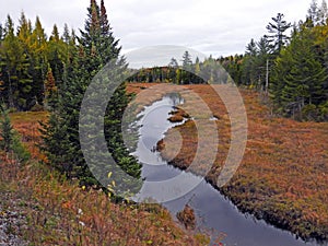 Adirondack Autumn Fall tree, pine and stream vista