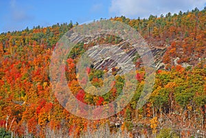 Adirondack Fall Foliage, Autumn, New York