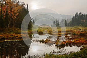 Adirondack Marsh photo