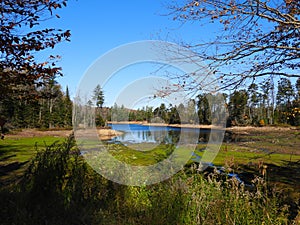 Adirondack wetland marsh near Stillwater Reservoir