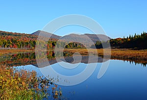 Adirondack wilderness waterway and mountains in autumn photo