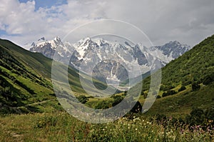 Adishi glacier with meadow