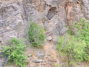 Adit in old abandoned limestone quarry Velka Amerika