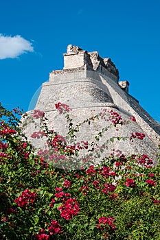 Adivino-Pyramid at Uxmal on the Yucatan peninsula photo