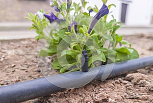 Adjustable dropper for irrigation system