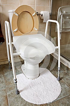 Adjustable height toilet seat