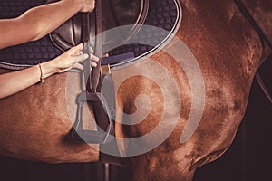 Adjusting horse stirrups. Equestrian theme photo