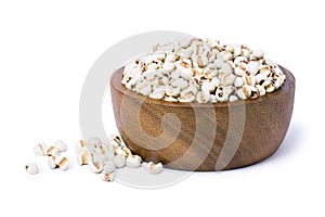 Adlay millet white background