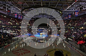 Adler Mannheim leuchtende Herzen Ã°Å¸ââ¢