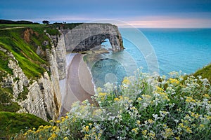Admirable coastline with spectacular cliffs near Etretat, Normandy, France