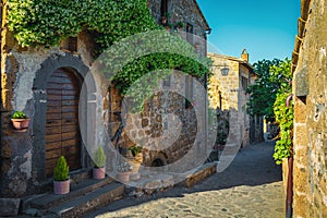 Admirable entrance decorated with jasmine flower and beautiful street view