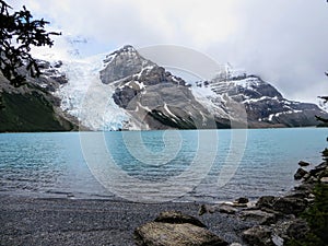 Admiring the view of Berg Lake and Mount Robson Glacier