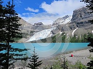 Admiring the view of Berg Lake and Mount Robson Glacier