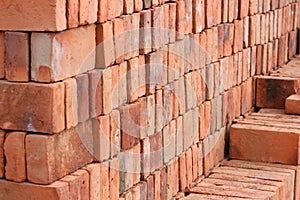 Adobe Bricks Drying in the Sun
