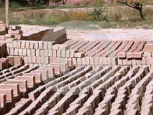 Adobe Bricks - Sustainable Building Materials 2 photo