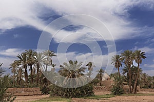 Adobe buildings in M'Hamid El Ghizlane