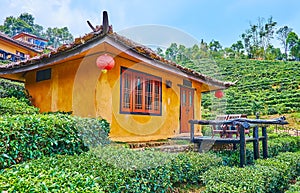 Adobe Chinese house amid tea shrubs, Ban Rak Thai Yunnan tea village, Thailand