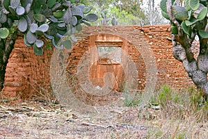 Adobe wall with nopales in Mineral de pozos, guanajuato, mexico
