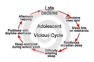 Adolescent Vicious Cycle