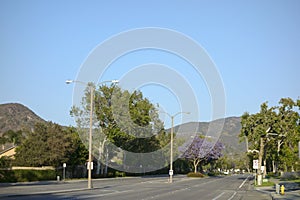 Adolfo Street, Camarillo, CA photo