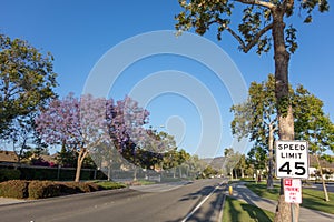 Adolfo Street, Camarillo, CA photo