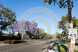 Adolfo Street, Camarillo, CA photo