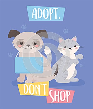 adopt, dont shop