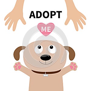 Adopt me. Dog face. Pet adoption. Puppy pooch looking up to human hand