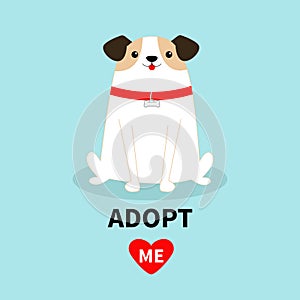 Adopt me. Dog sitting. White puppy pooch. Red collar bone. Cute cartoon kawaii funny baby character. Flat design style. Help