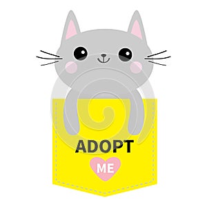 Adopt me. Dont buy. Cat in yellow pocket. Pet adoption. Kitten kitty. Pink heart. Flat design. Help homeless animal concept. White