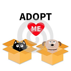 Adopt me. Dont buy. Dog Cat inside opened cardboard package box. Pet adoption. Puppy pooch kitty cat looking up to red heart. Flat