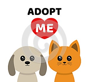 Adopt me. Dont buy. Dog Cat Pet adoption.