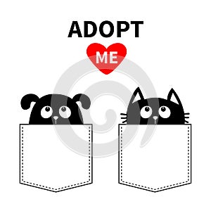 Adopt me. Dont buy. Dog Cat in pocket. Pet adoption. Puppy pooch kitty cat looking up to red heart. Flat design. Help homeless ani