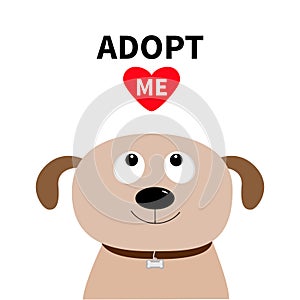 Adopt me. Dont buy. Dog face. Pet adoption. Puppy pooch looking up to red heart. Flat design style. Help homeless animal concept.