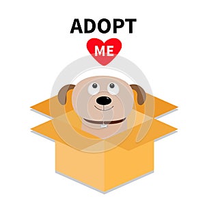 Adopt me. Dont buy. Dog inside opened cardboard package box. Pet adoption. Puppy pooch looking up to red heart. Flat design style.