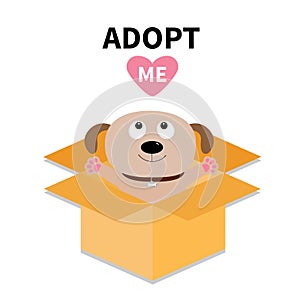 Adopt me. Dont buy. Dog inside opened cardboard package box. Ready for a hugging. Puppy pooch looking up to red heart. Pet adoptio