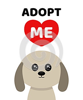 Adopt me. Dont buy. Dog Pet adoption.