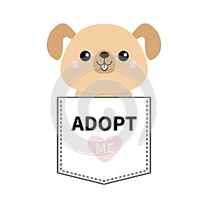 Adopt me. Dont buy. Dog in the pocket. Pet adoption. Puppy pooch Pink heart. Flat design. Help homeless animal concept. White back