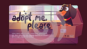 Adopt me poster with cute dog in cardboard box