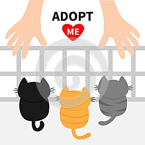 Adopt me. Three kittens looking up to human hand. Nursery cage aviary. Cute cartoon funny character. Animal hug. Helping hands con photo