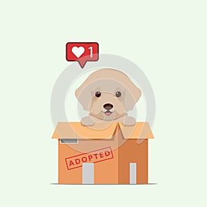 Adopt pet concept illustration. Dog rescue, protection, adoption concept. Flyer, poster template.Cute cockapoo puppy in a box