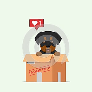 Adopt pet concept illustration. Dog rescue, protection, adoption concept. Flyer, poster template.Cute rottweiler puppy in a box