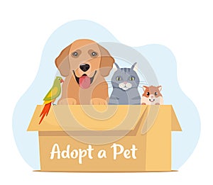 Adopt a pet. Cute homeless puppy, kitten, hamster, parrot inside a cardboard box are waiting for the adoption. Vector illustration