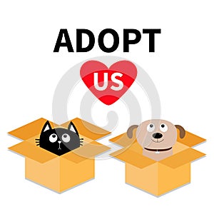Adopt us. Dont buy. Dog Cat inside opened cardboard package box. Pet adoption. Puppy pooch kitten cat looking up to red heart. Fla