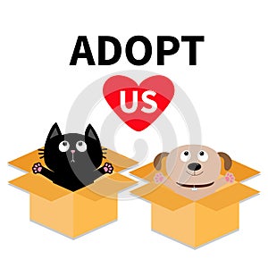 Adopt us. Dont buy. Dog Cat inside opened cardboard package box. Ready for a hug. Puppy pooch kitten cat looking up to pink heart.