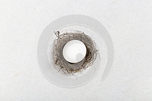 Adoption concept, big egg for small nest