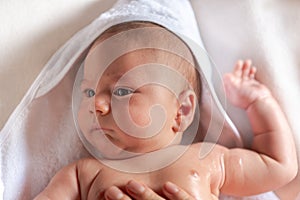 Adorable 2 months old little baby boy on towel after bath in his mother`s hands