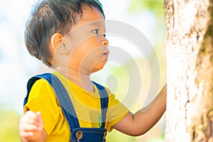 Adorable asian boy playing in tree forest park morning sunrise nature learnning